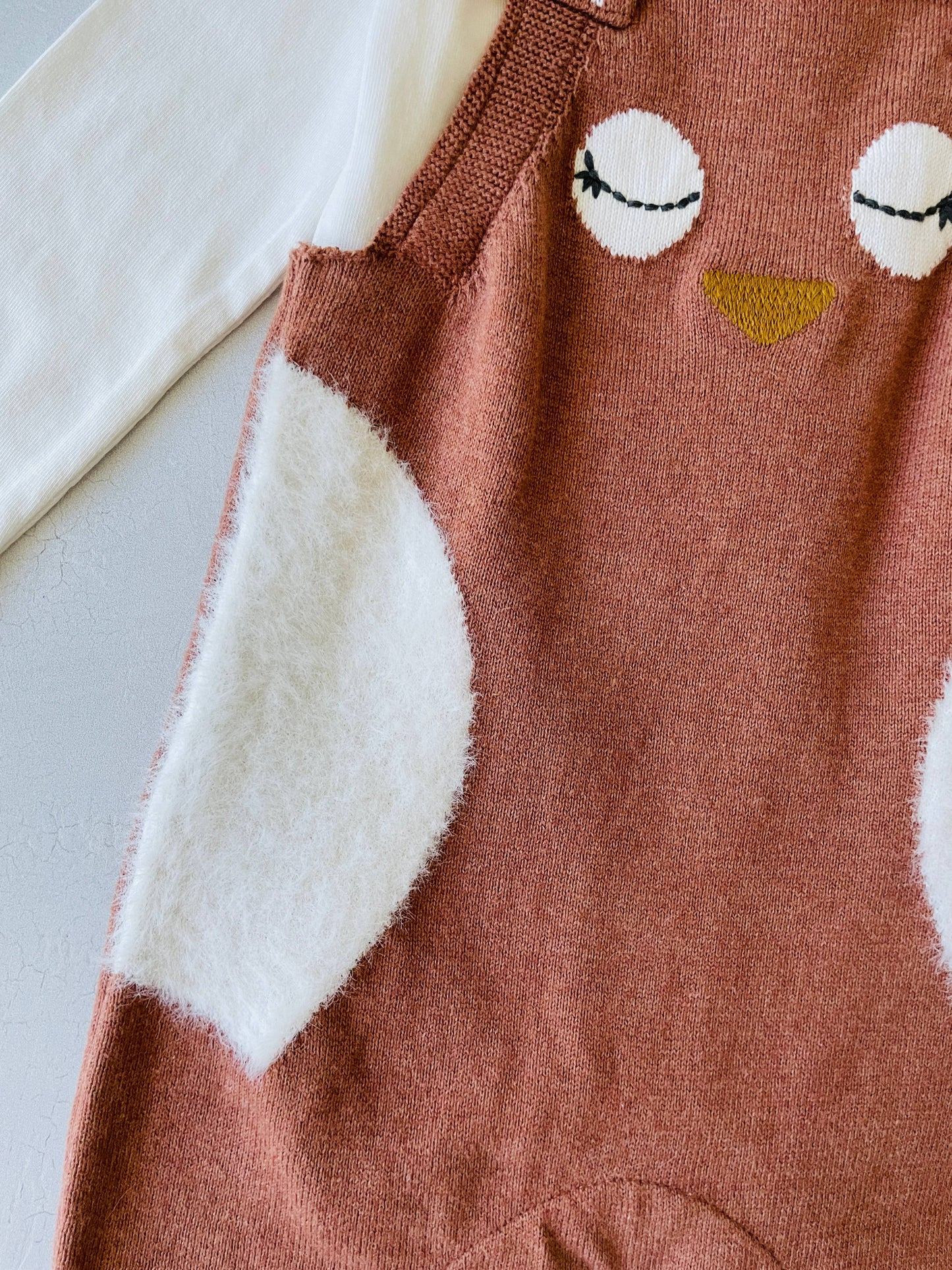 Owl Embroidered Knit Overall + Bodysuit Set (Organic)